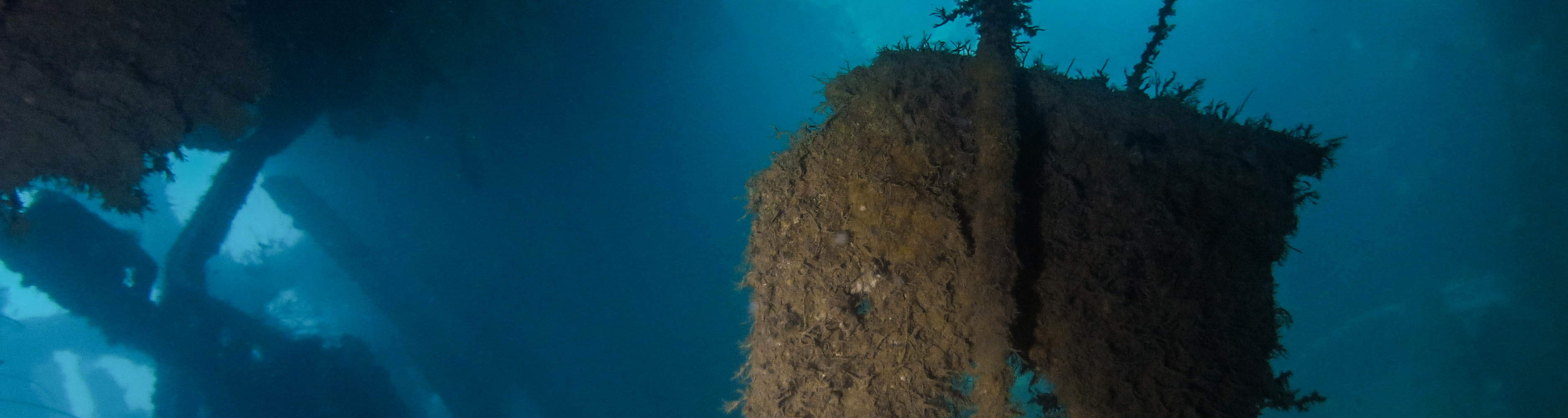 Aria arricchita (Nitrox) inclusi 2 immersioni