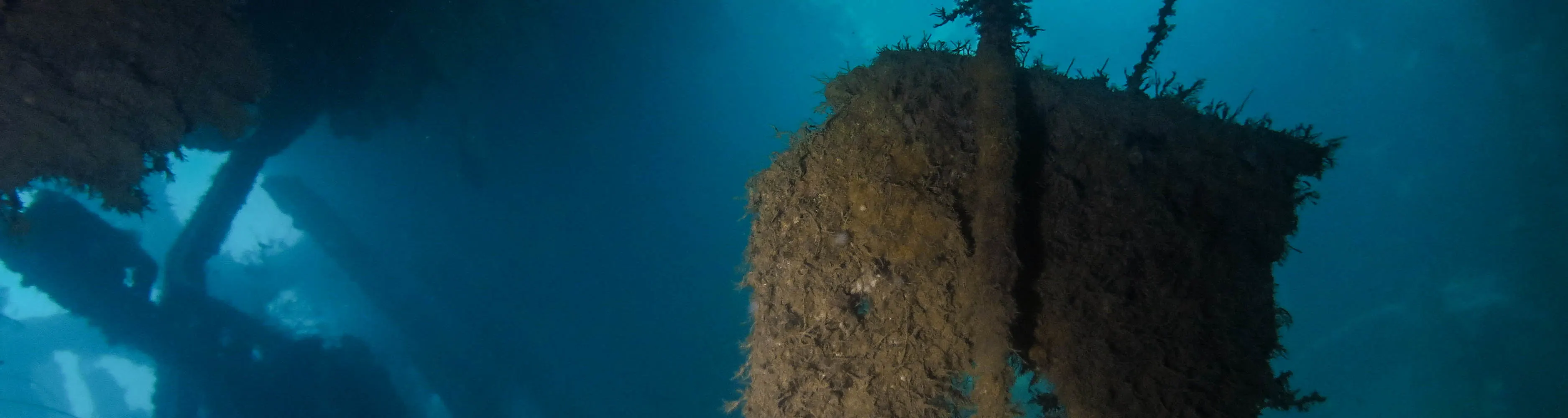 富氧空气（高氧）包括 2 次潜水