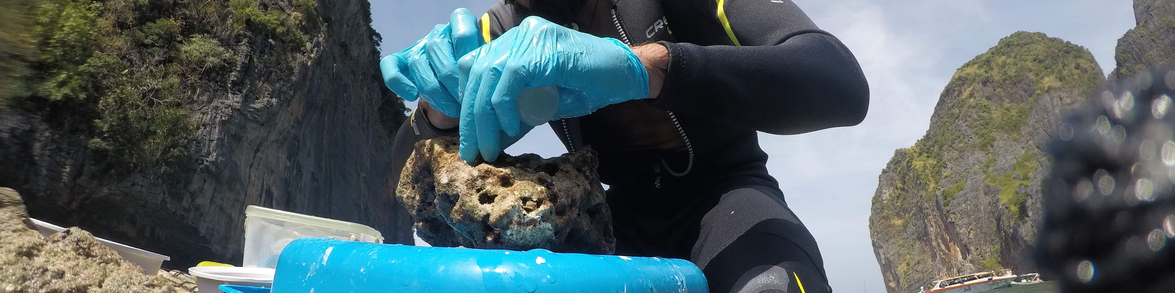 Ocean Quest Naturschutz-Tauchpaket