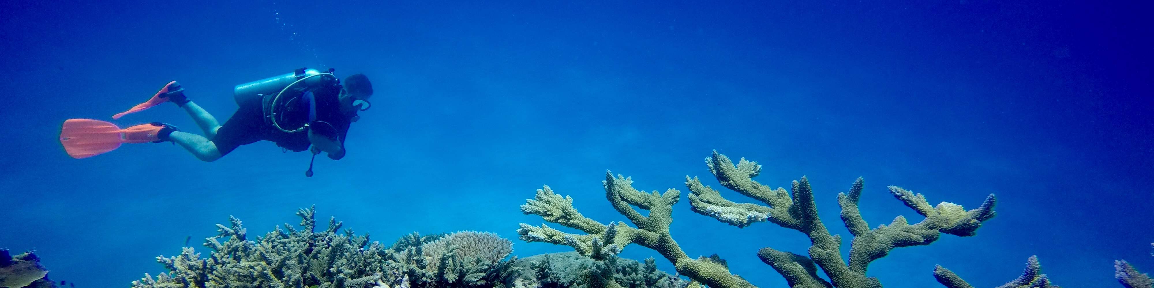 Experience PADI Try Scuba Diving in Tokoriki with PADI 5 Star Dive