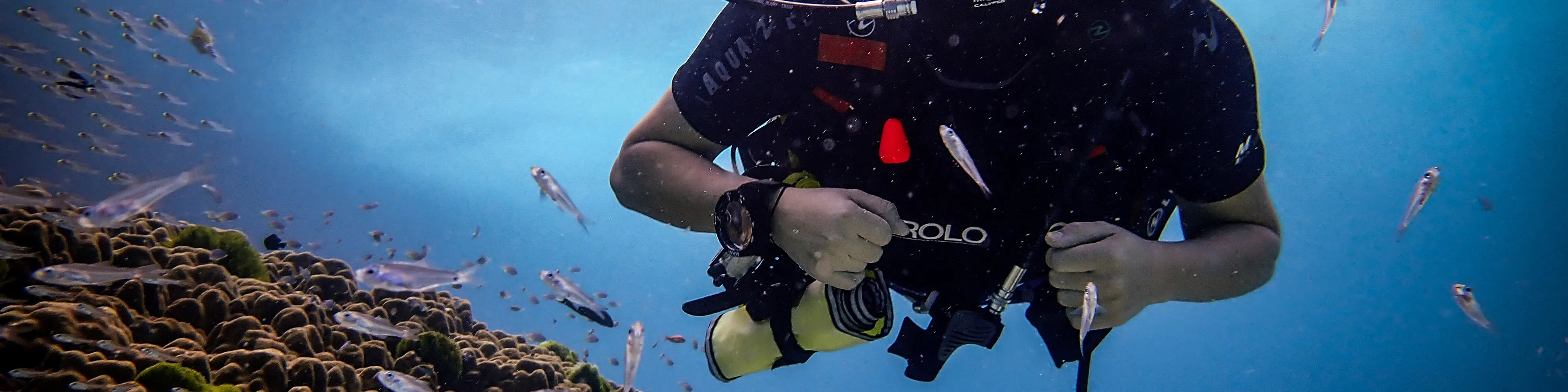 PADI 探索水肺潜水