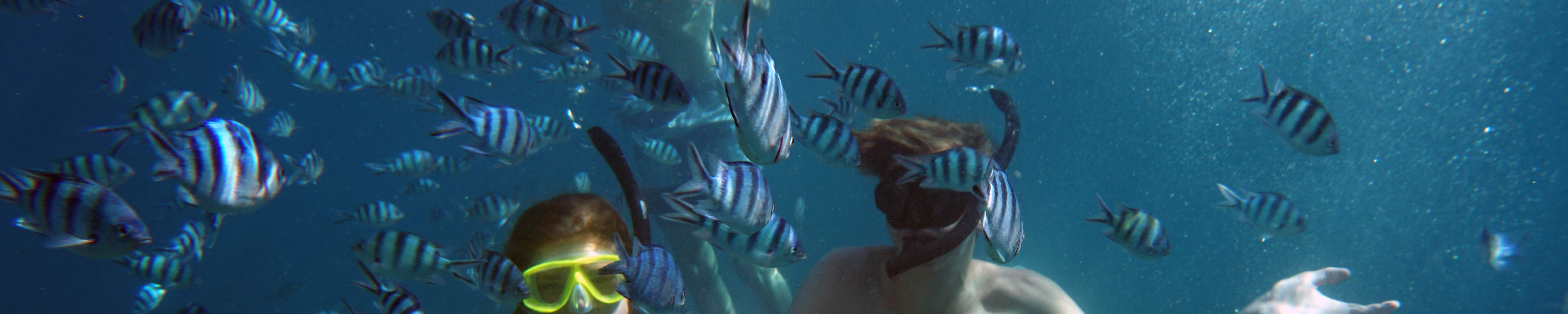 Perjalanan Snorkeling Sehari Penuh