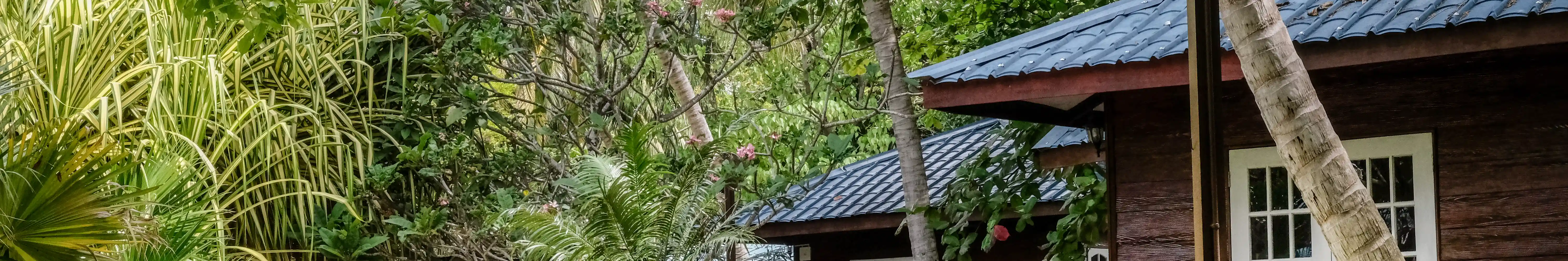 4天3夜潜水配套