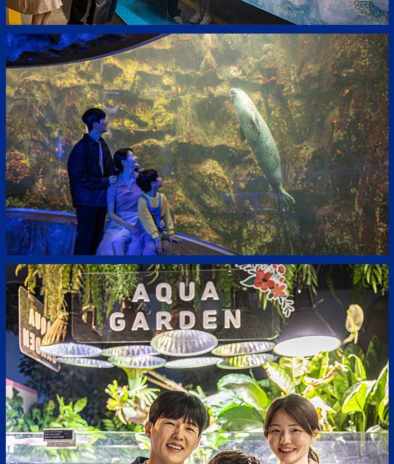 아쿠아플라넷 여수 입장권