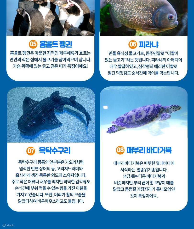 서울스카이 + 롯데월드 아쿠아리움 입장권