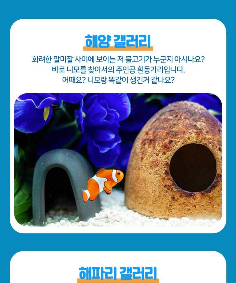 서울스카이 + 롯데월드 아쿠아리움 입장권