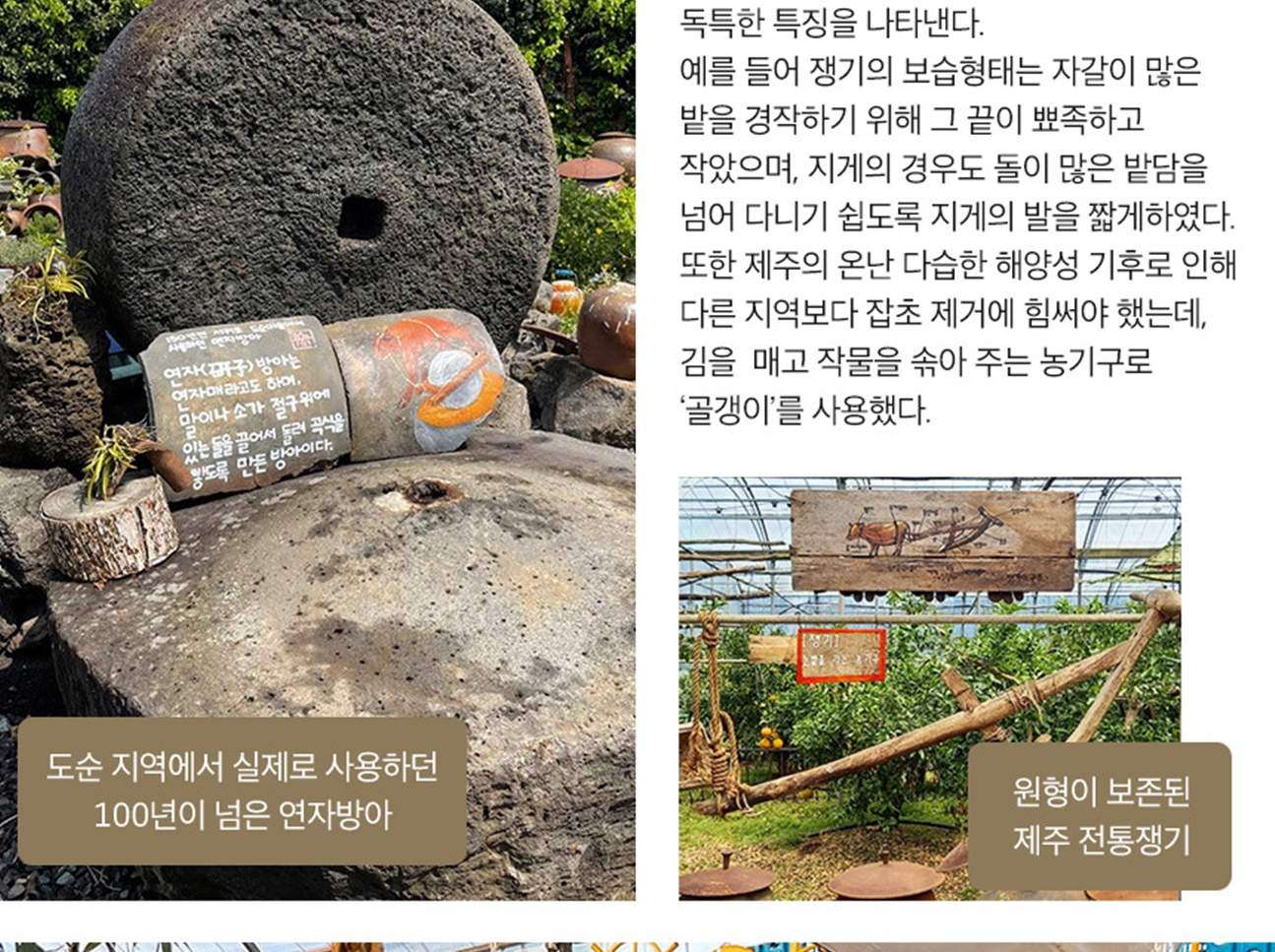 쇠소깍 산물관광농원 입장권 - 클룩 Klook 한국