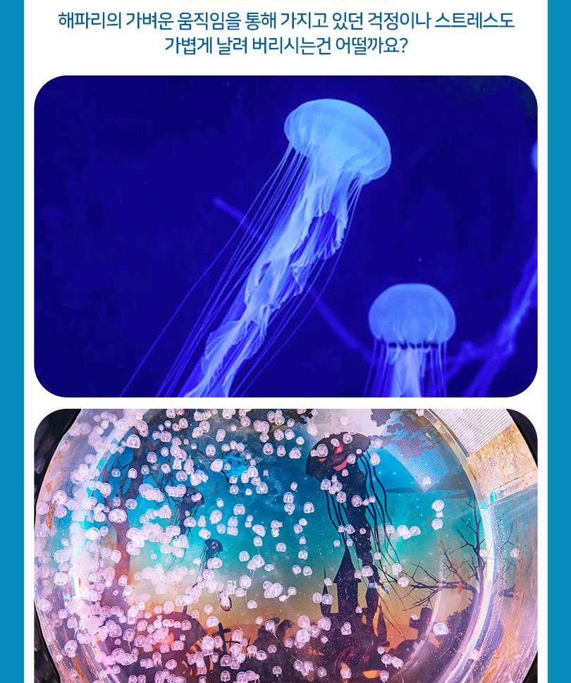 서울스카이 + 롯데월드 아쿠아리움 입장권