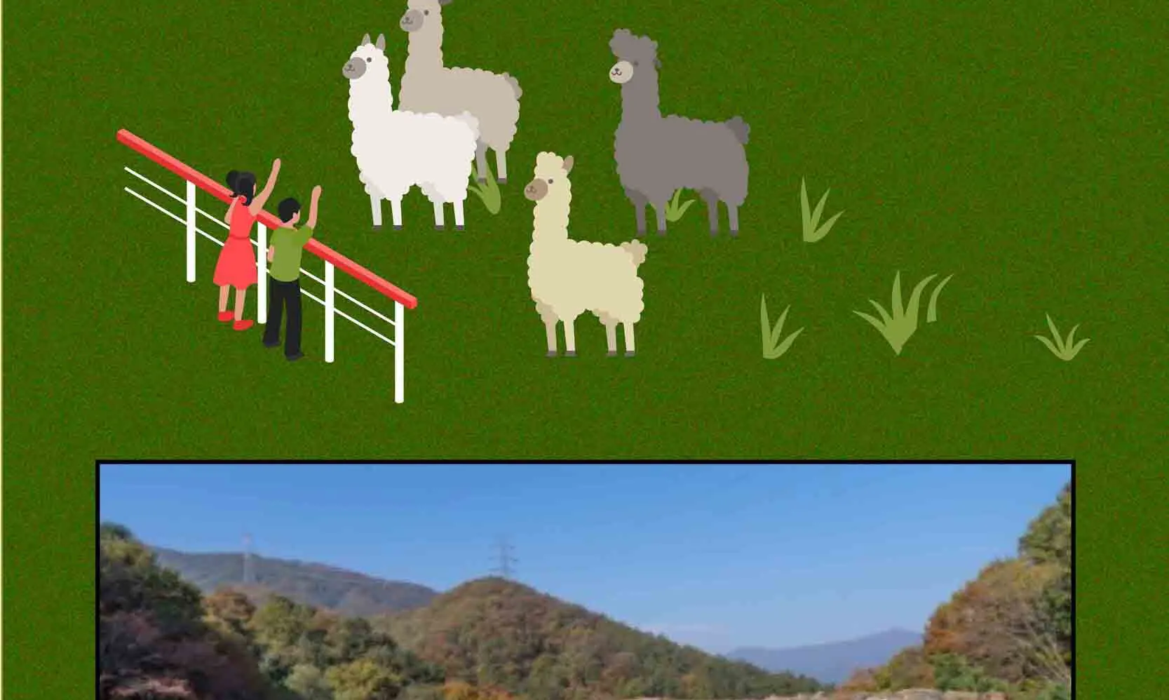 绵羊牧场 Tikcet（羊驼、绵羊、兔子） 京畿道加平