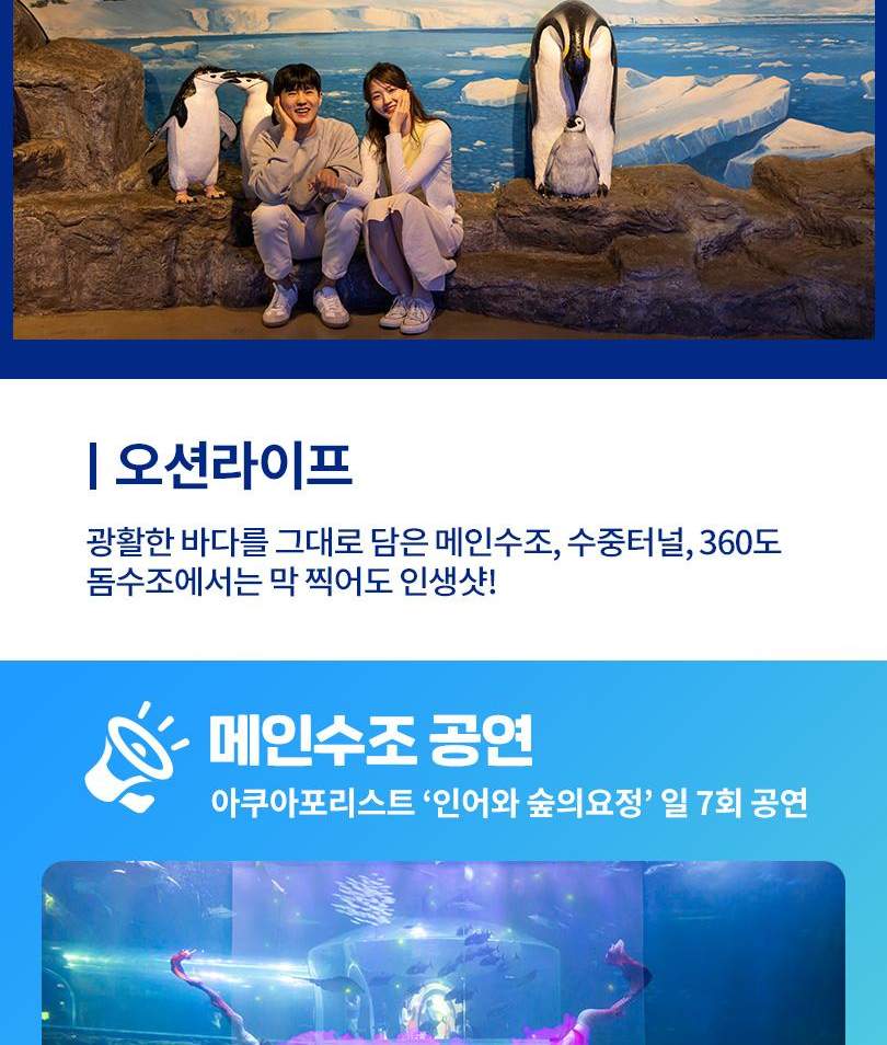 아쿠아플라넷 여수 입장권