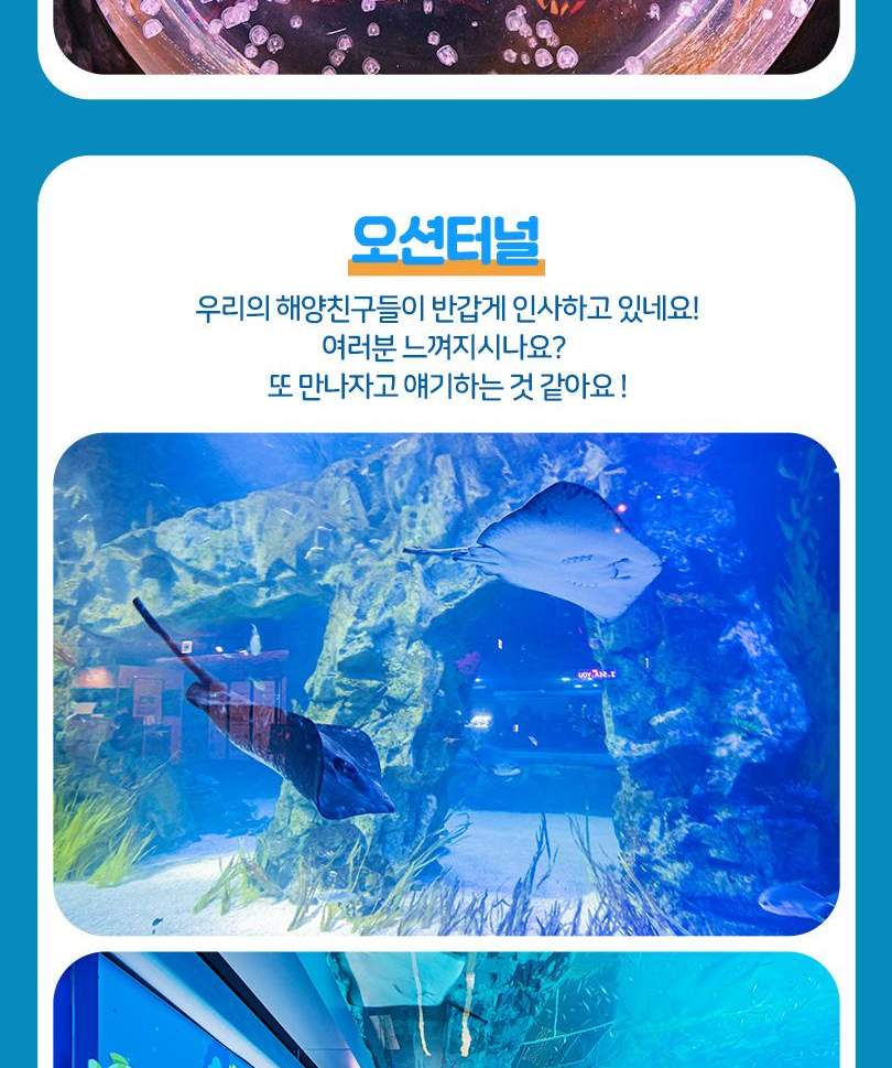 서울스카이 + 롯데월드 아쿠아리움 입장권