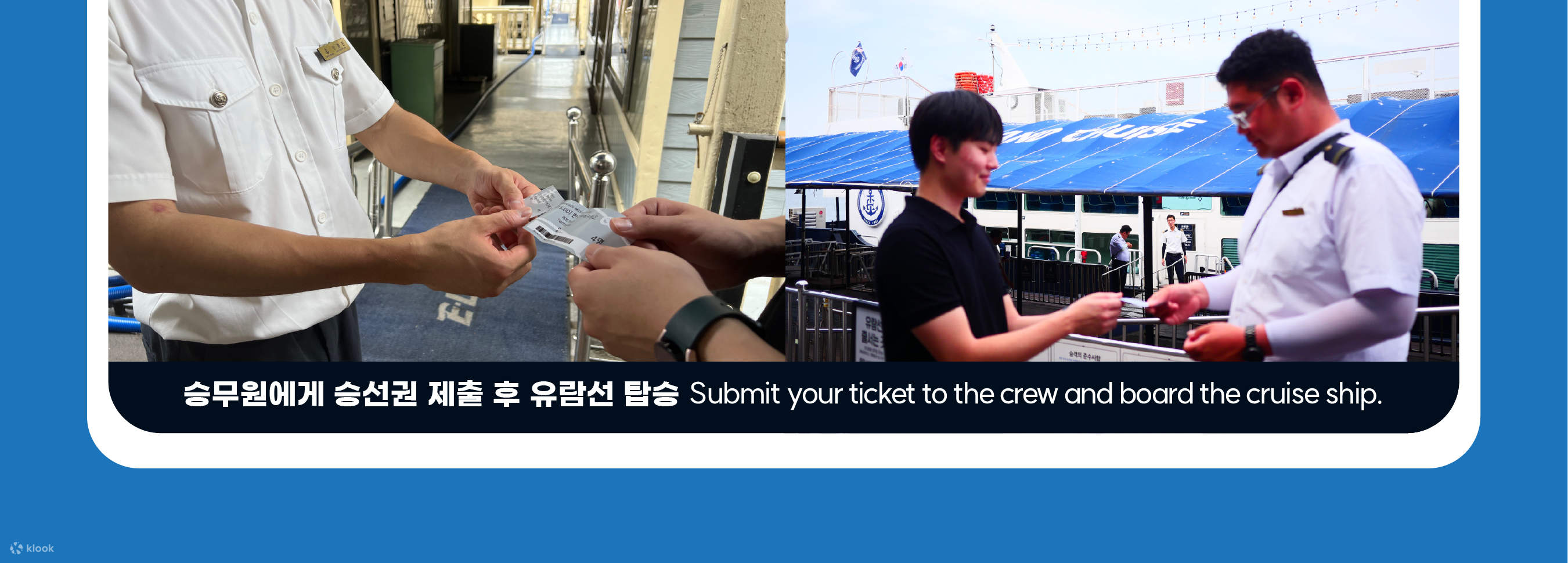 Trải Nghiệm Du Thuyền Sông Hàn Eland và Buffet Ashley Marine