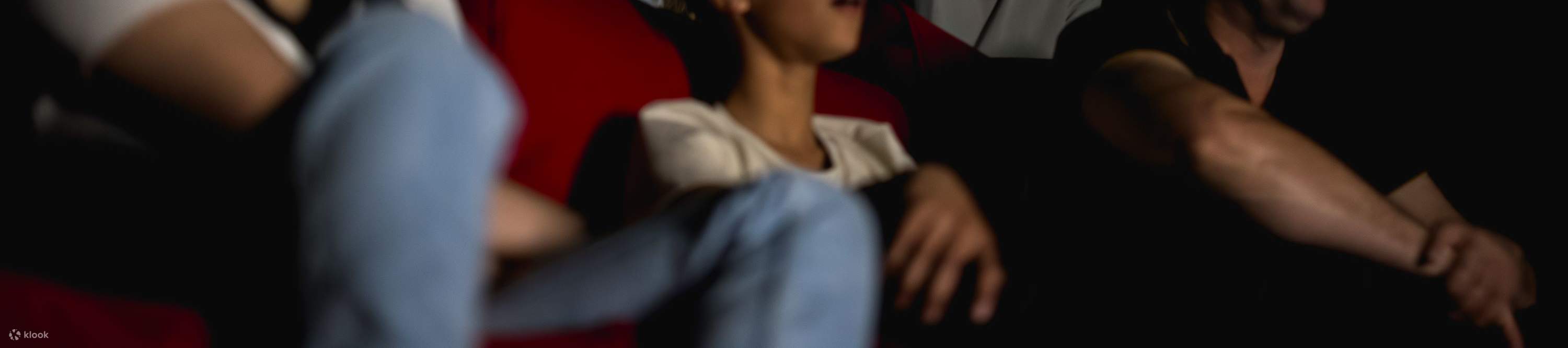 Dark Sky Experience di Dark Sky Project a Tekapo