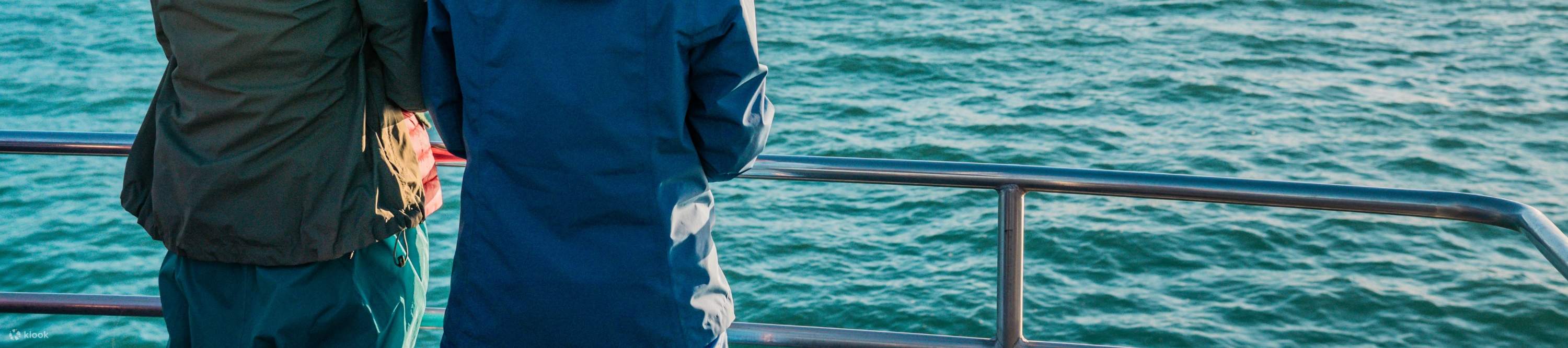 ホエールウォッチング ツアー ニュージーランド