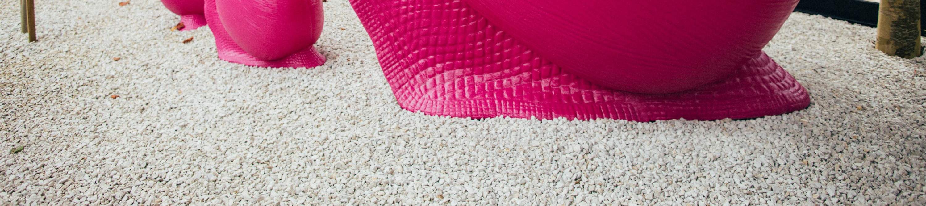 Admirez des artistes locaux talentueux présentant leurs chefs-d'œuvre à Matakana.