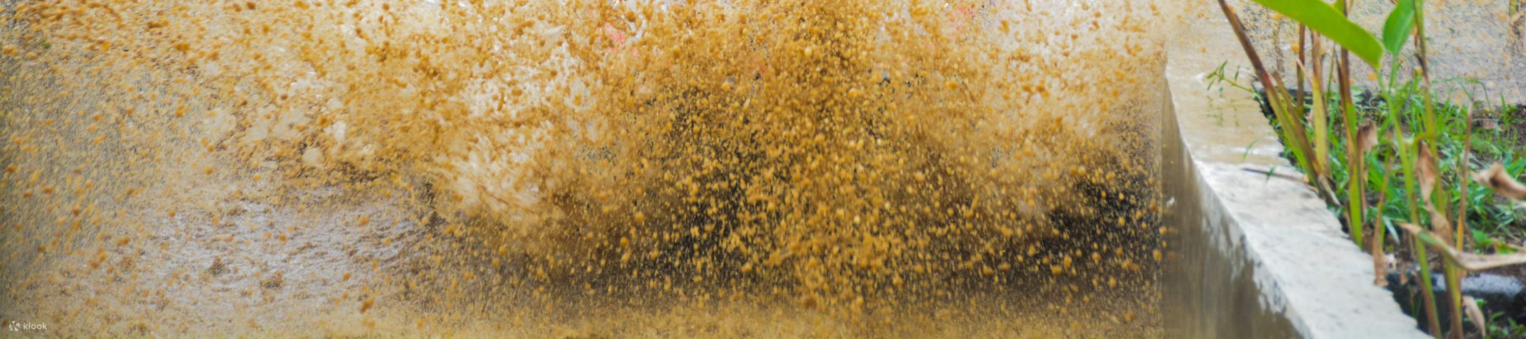 experiencia en vehículo todo terreno