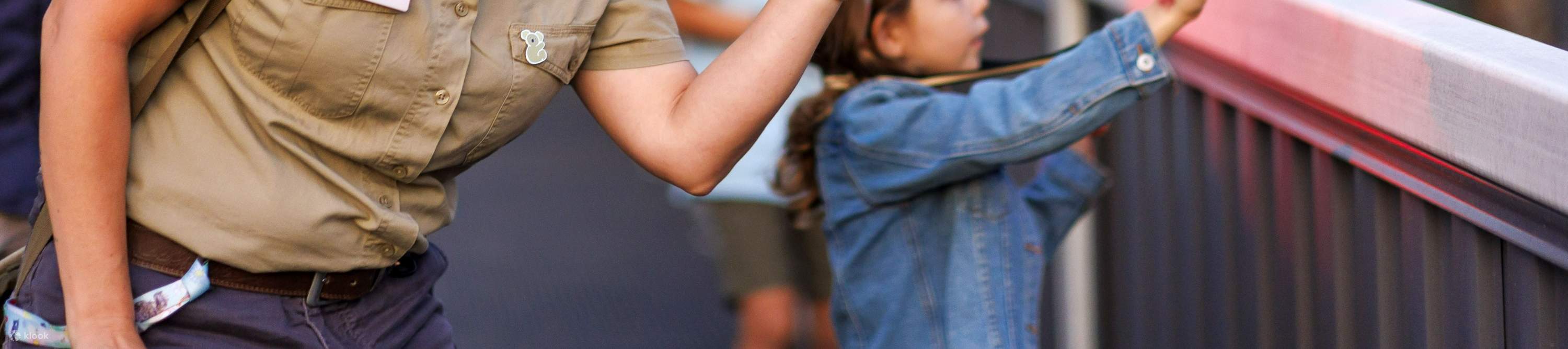 龍柏樹熊動物園入場門票