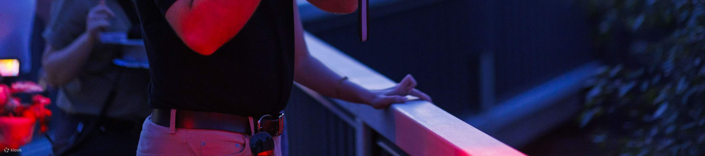 ローンパインコアラサンクチュアリ 入場チケット