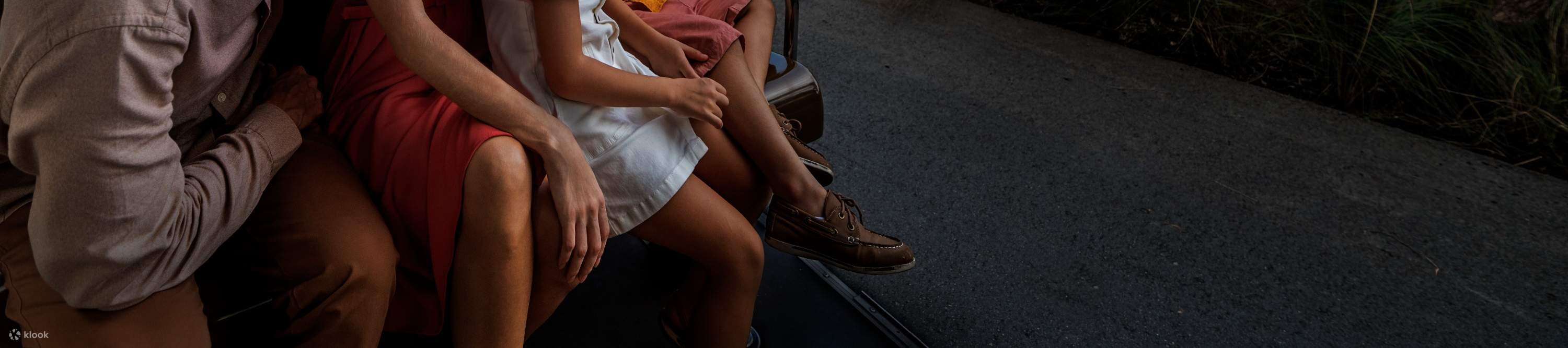 Ночное сафари