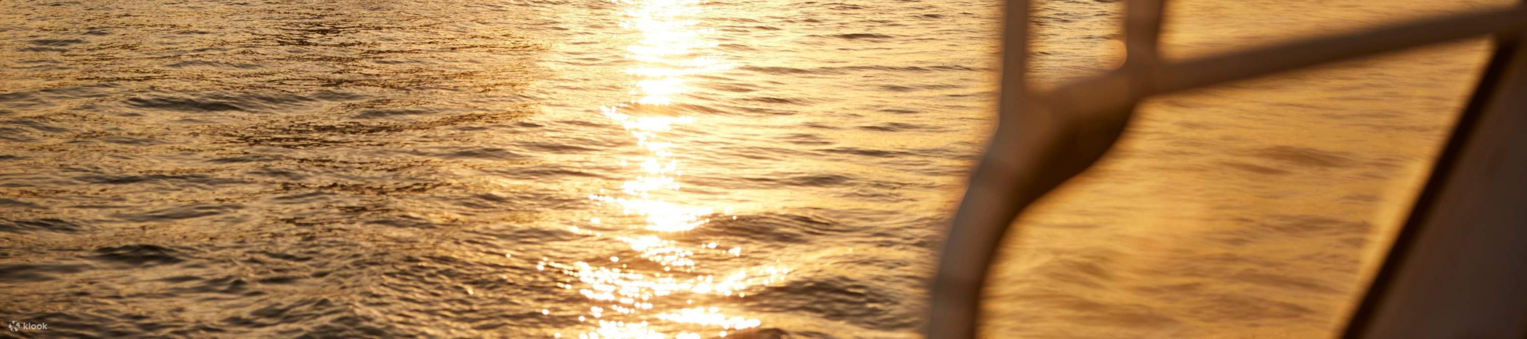 Ammira lo splendido tramonto su Farm Cove con viste mozzafiato sul porto