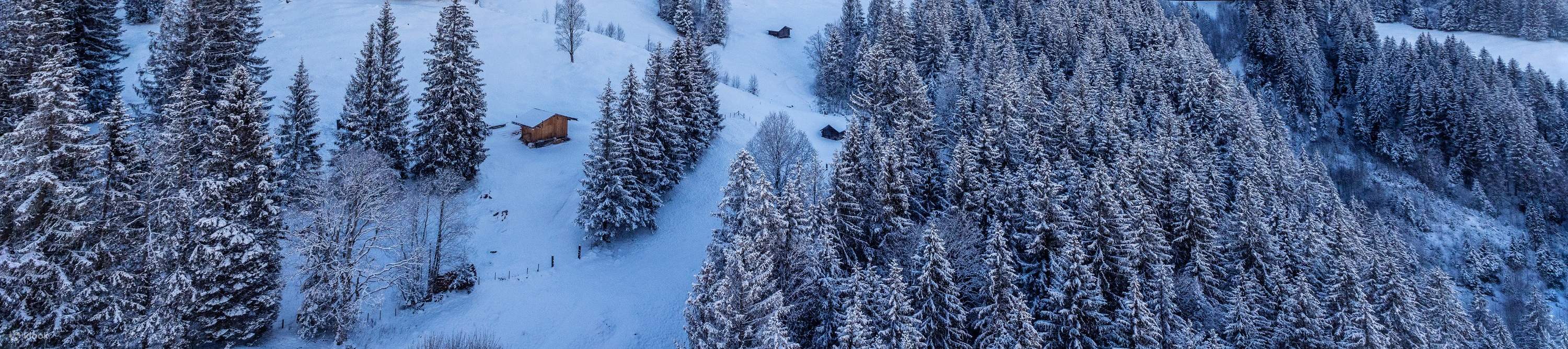 Eiger Express Cable Car