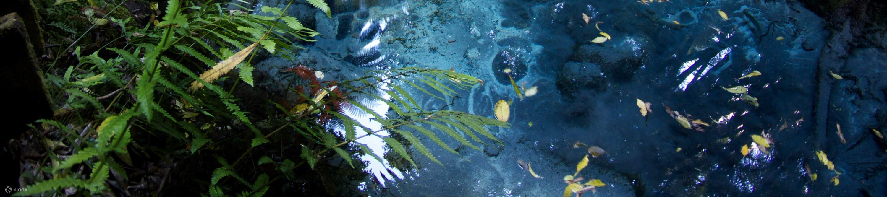 Reines Wasser der Puna