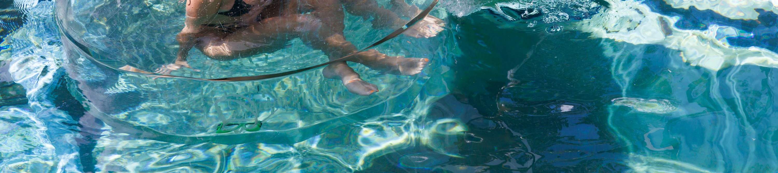 กิจกรรมดำน้ำกับจระเข้