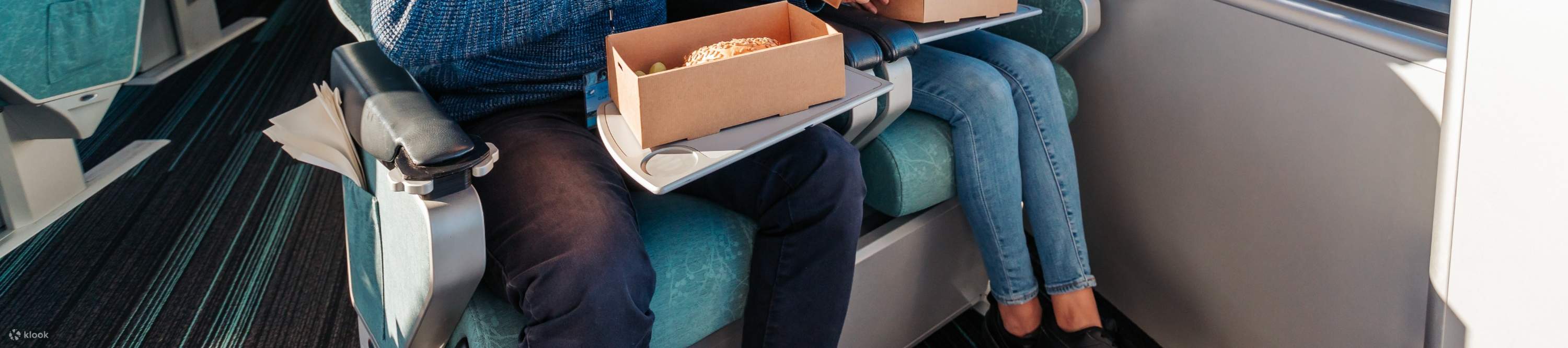 ホエールウォッチング 解説