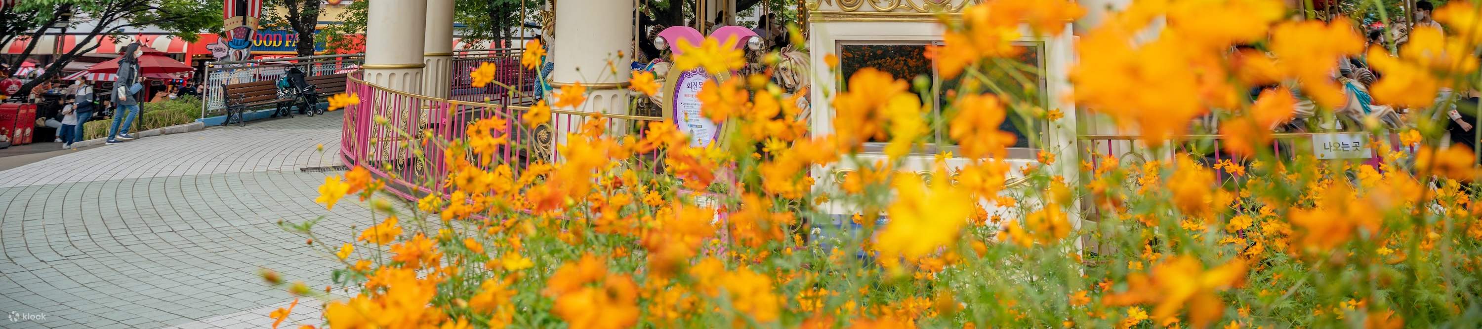 Ticket E-world Daegu