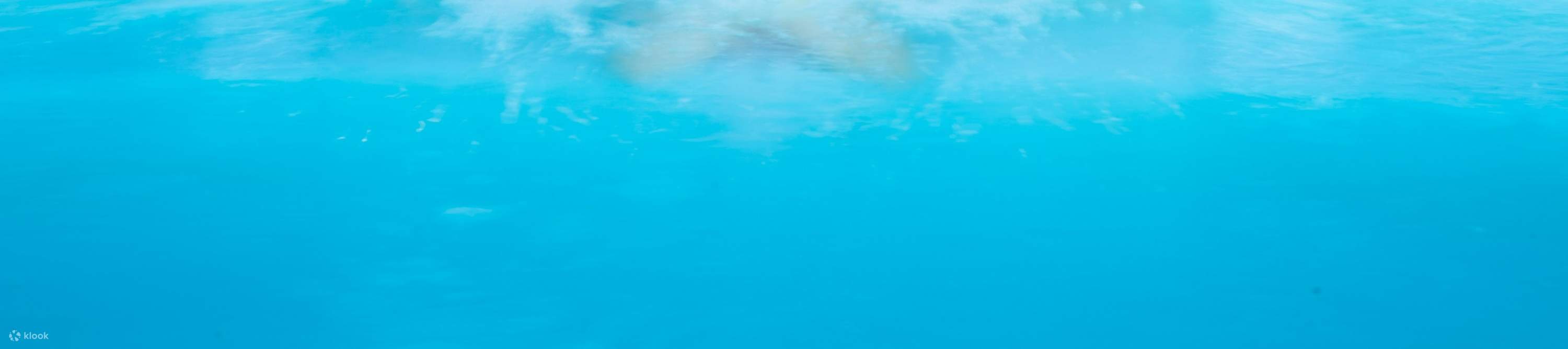 リラックスタイム