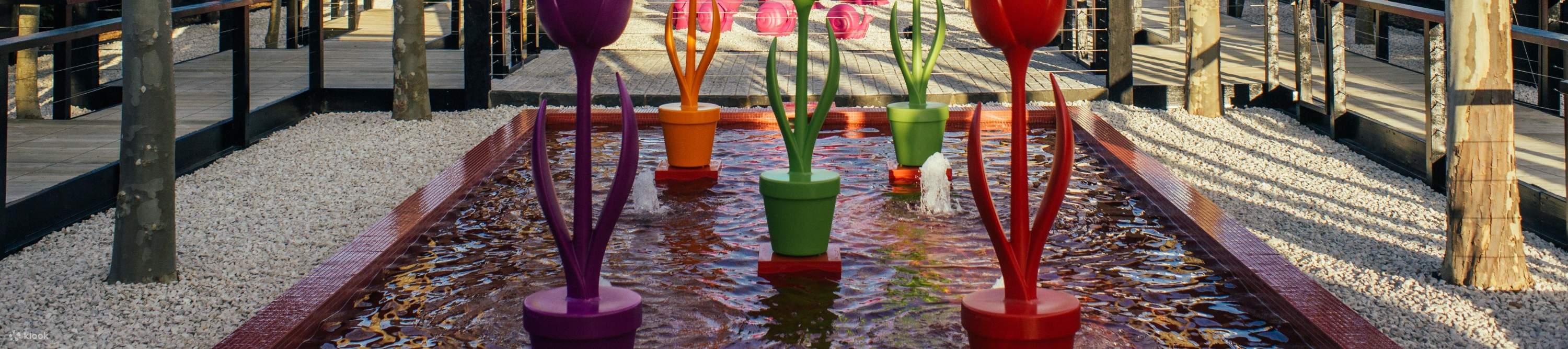 Откройте для себя захватывающие произведения искусства в очаровательной художественной деревне Матакана.