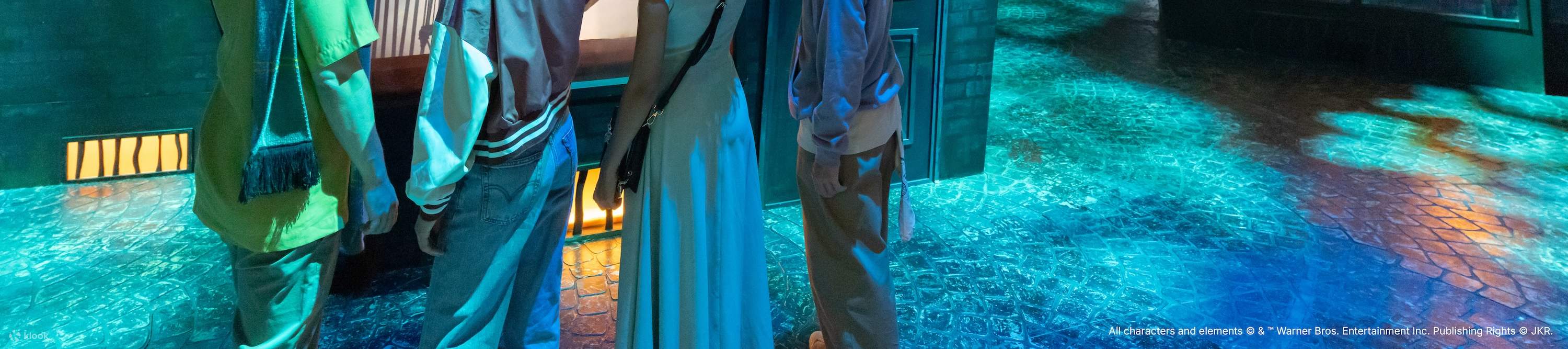 Harry Potter: Visions of Magic