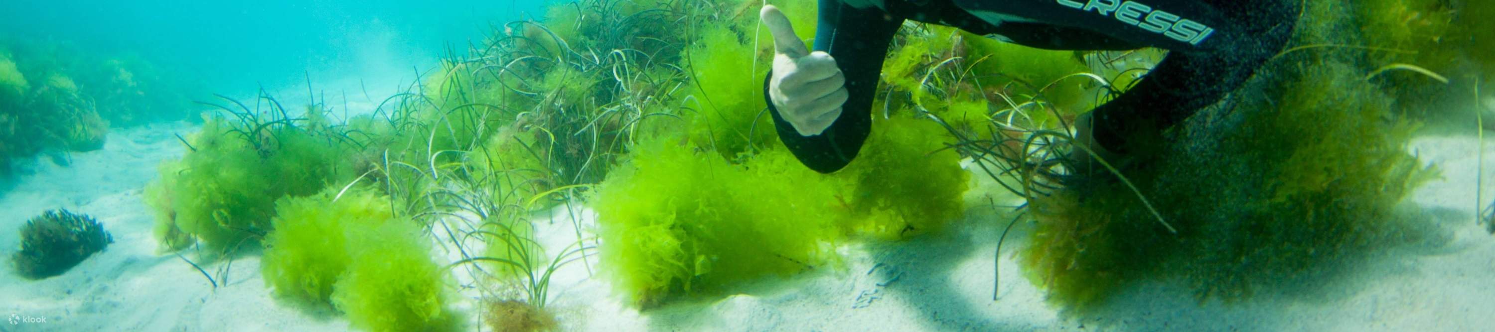 Aventura submarina de fin de semana en Port Lincoln