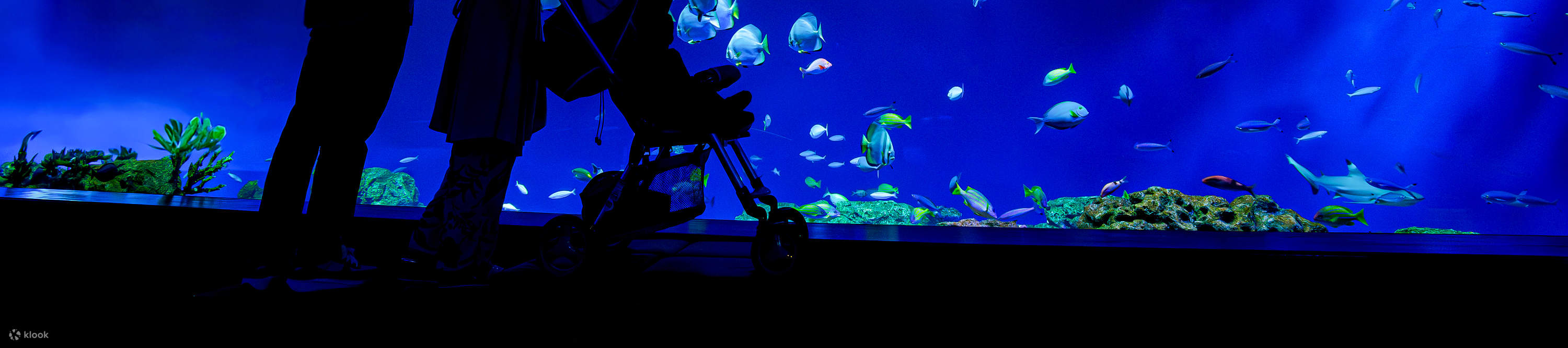 Entrada al Acuario DMM Kariyushi en Okinawa