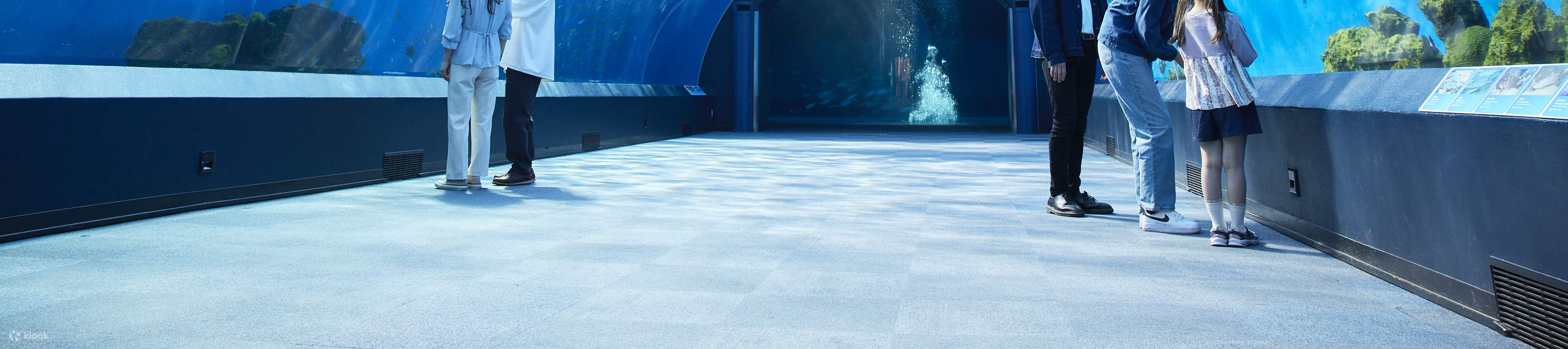 Билет в Yokohama Hakkeijima Sea Paradise