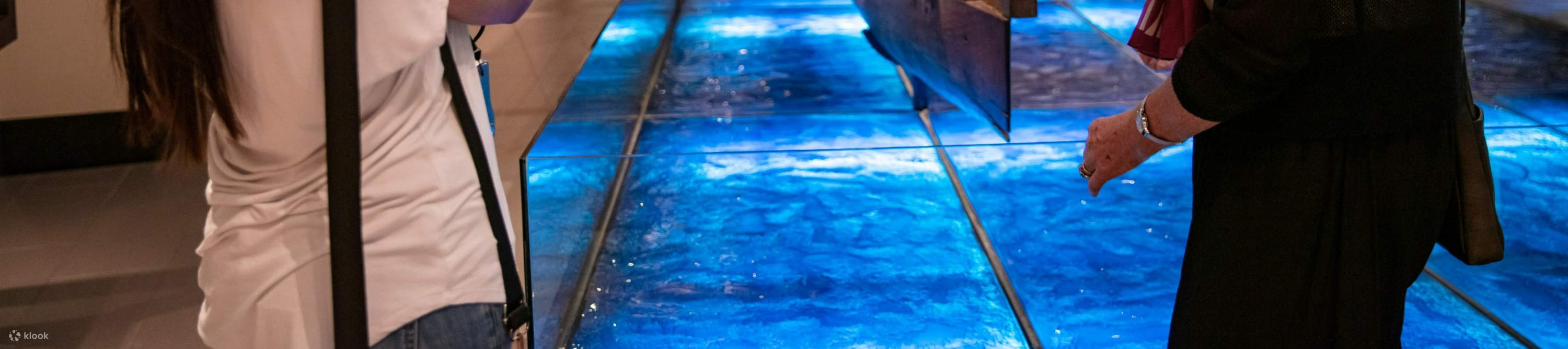 Collections Pasifika