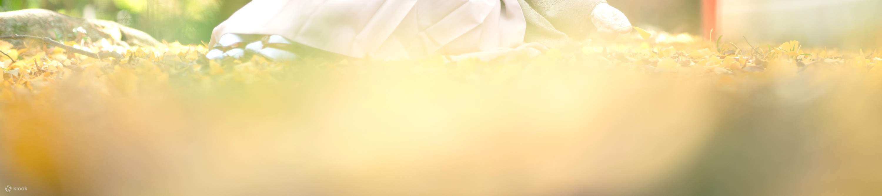 Sewa Kimono Kimono Renda, Roman Taisho, Furisode untuk Bersiar-siar di Asakusa dengan Set Rambut & Hiasan Rambut Tanpa Had (Tokyo/Asakusa Aiwafuku Kedai No.3)