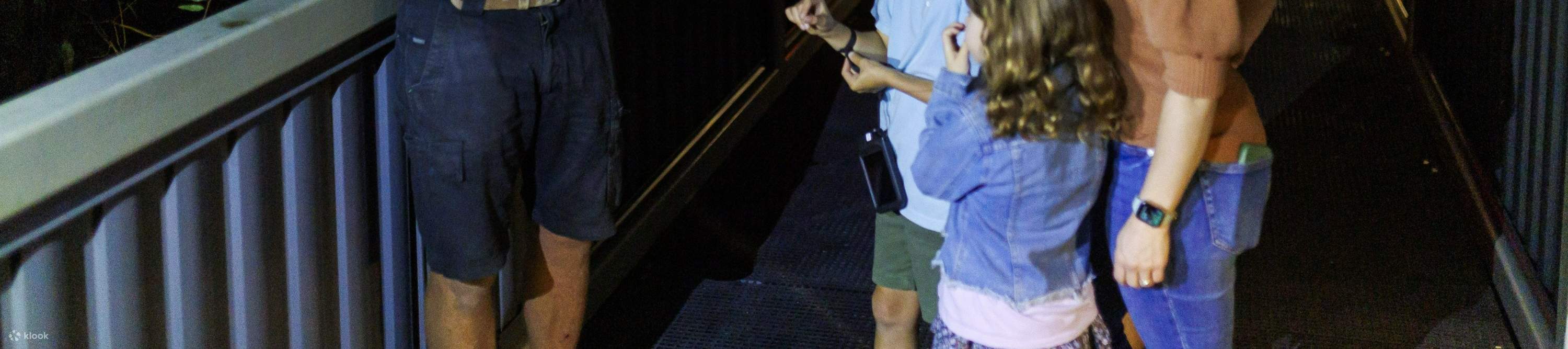 ローンパインコアラサンクチュアリ 入場チケット