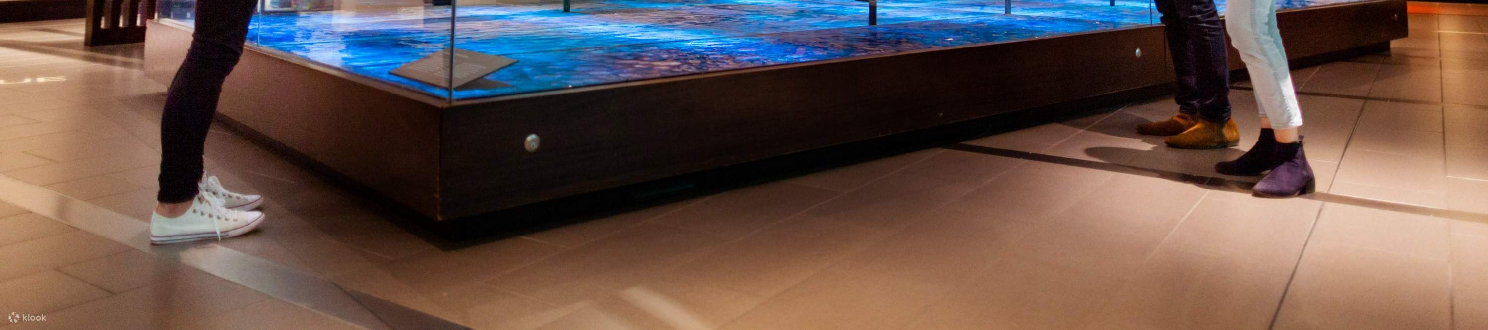 Histoire naturelle d'Auckland