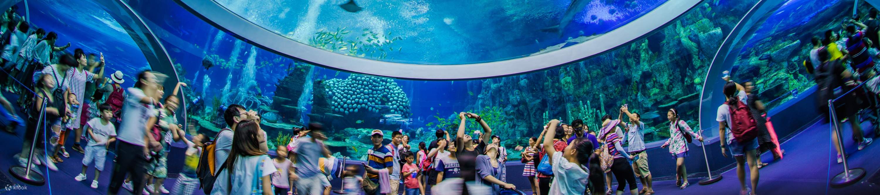 Chimelong Ocean Kingdom Zhuhai