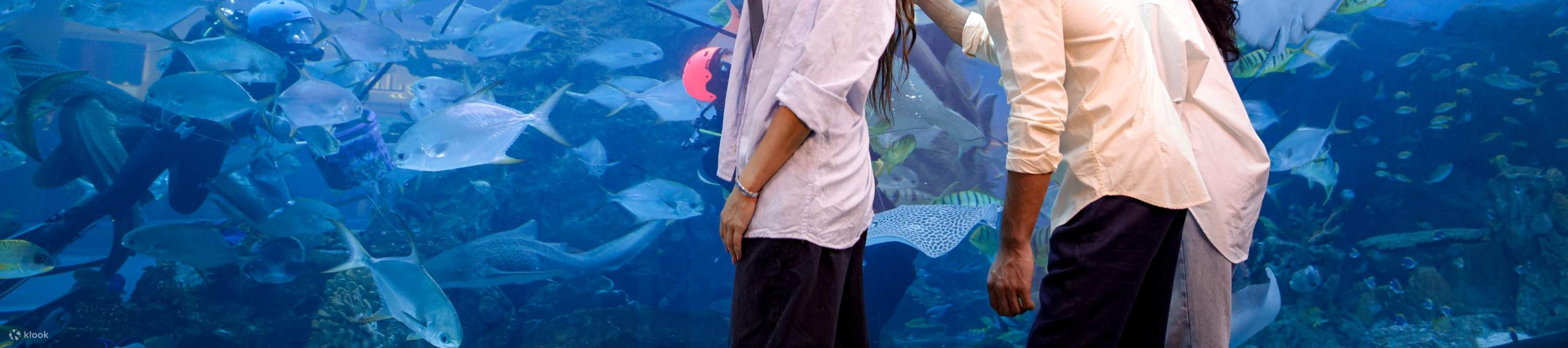 Biglietto per il Dubai Aquarium