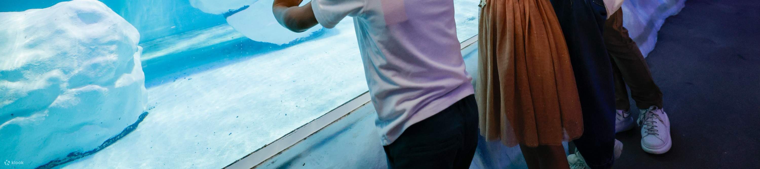 Билет в Дубайский аквариум