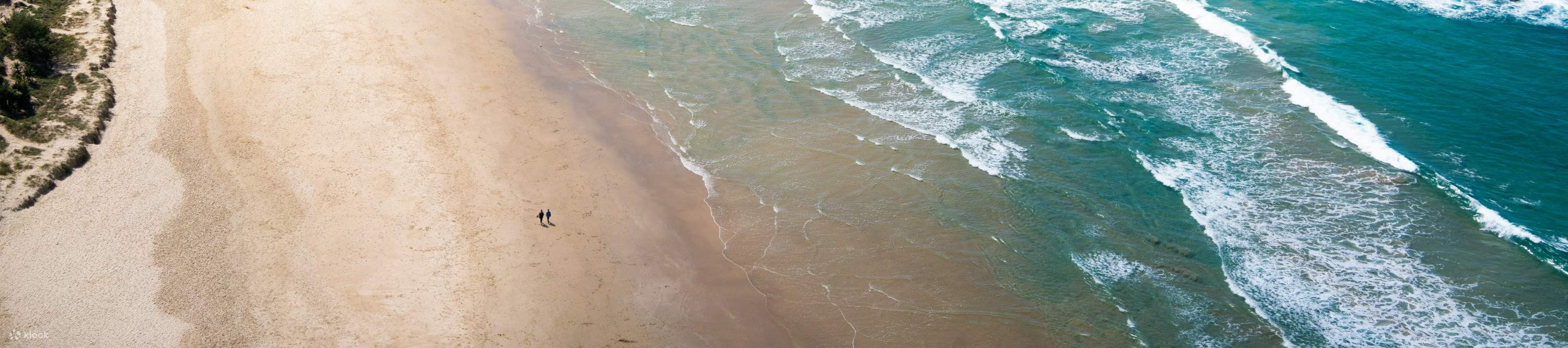 스릴 넘치는 탠덤 스카이다이빙 어드벤처로 해안의 아름다움을 만끽하세요.