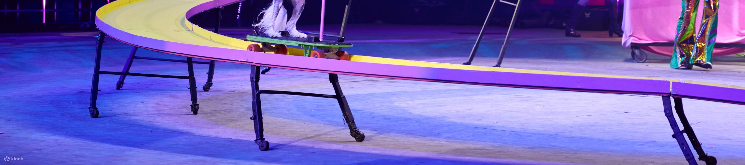 Wangxing Skateboard Team