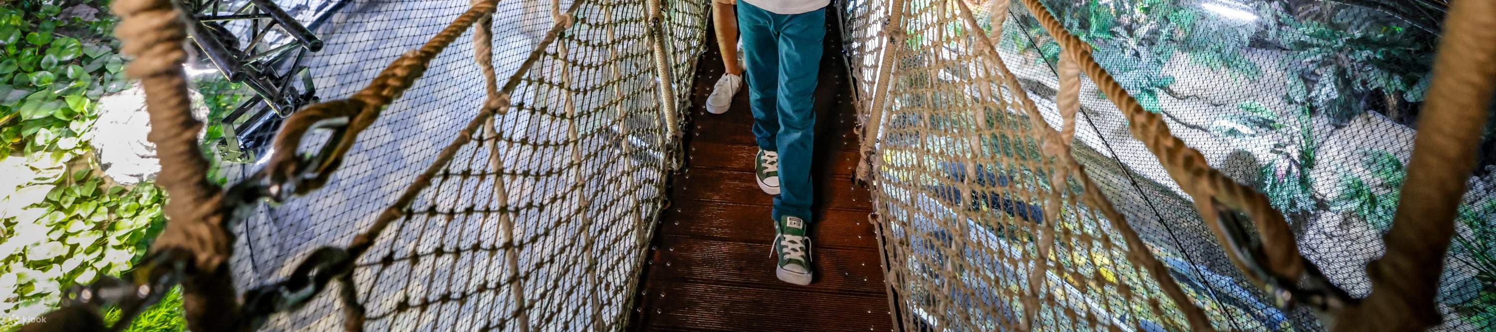 Билет в Дубайский аквариум