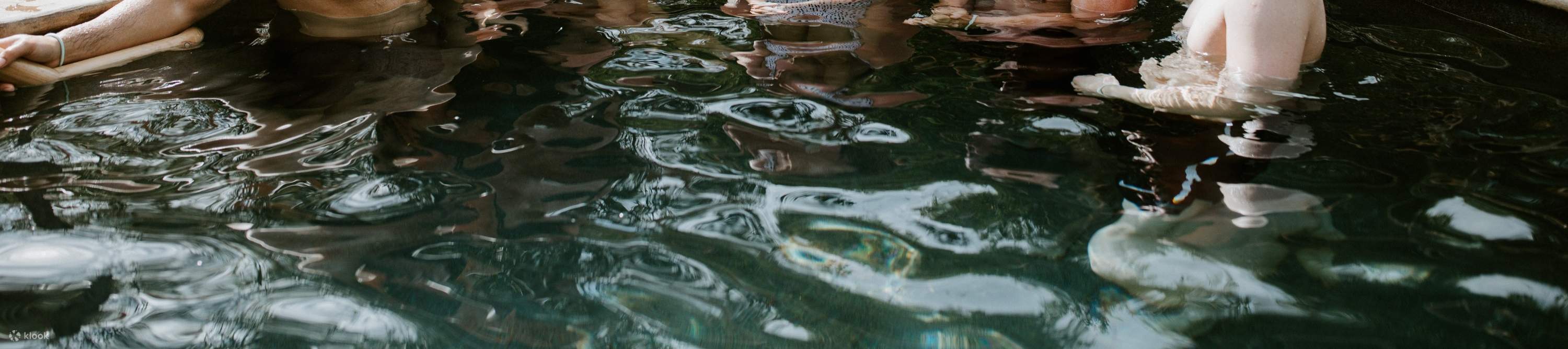Plongez dans les eaux minérales apaisantes de Peninsula Hot Springs pour une expérience revitalisante.