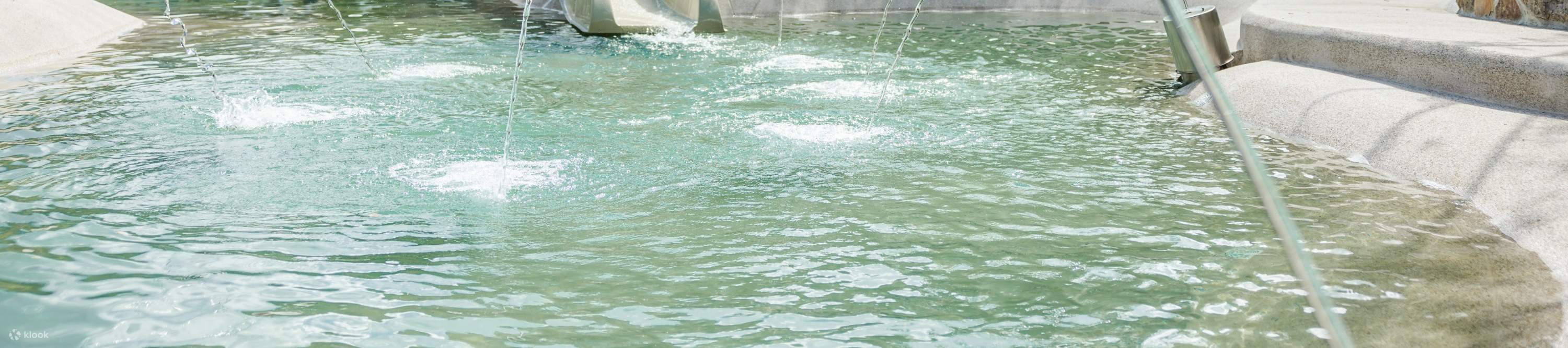 Parc de sources chaudes écologiques de la vallée de Hongye