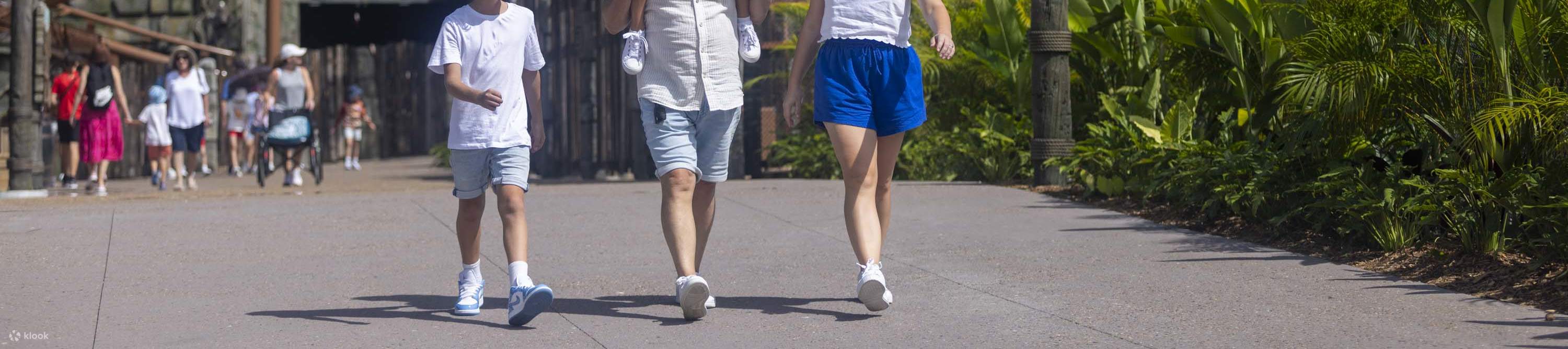 드림월드 티켓 - 드림월드 골드코스트 티켓