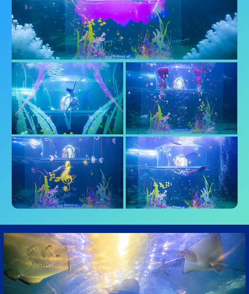 아쿠아플라넷 여수 입장권