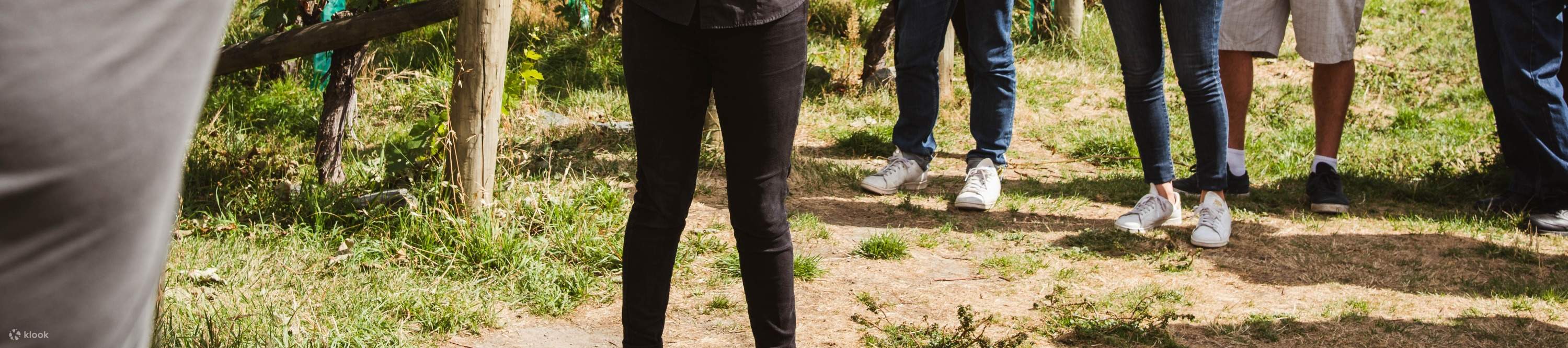 группа туристов